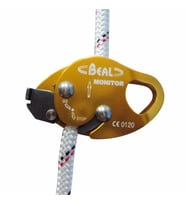 BEAL MONITOR