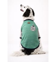 Cute Green Çift Kol Köpek Tişörtü