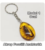 Akrep Fosilli - Toz Kehribar - Anahtarlık - Model 1 - Oval