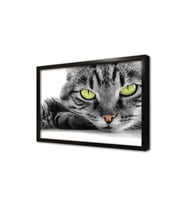 Kedi Çerçeveli Mdf Tablo