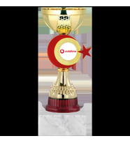 ODAK KUPA - Economy Kupalar - ECO-046 B - 19 cm