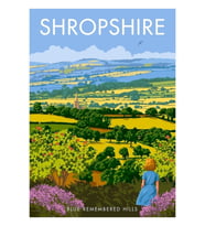 Shropshire Tablo Ahşap Poster Dekoratif