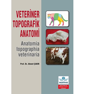 Veteriner Topografik Anatomi