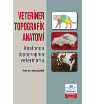 Veteriner Topografik Anatomi