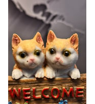 WELCOME SEVİMİL PATİ KEDİLER