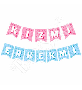 Kız Mı Erkek Mi Banner PembeMavi