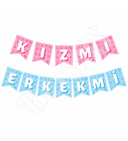 Kız Mı Erkek Mi Banner PembeMavi