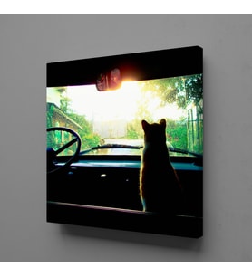 ARABADA KEDİ KANVAS TABLO 170x170cm