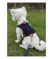 Köpek Göğüs Tasması Minik ve Küçük Irk Ayarlamalı Kadife Koyu Lacivert