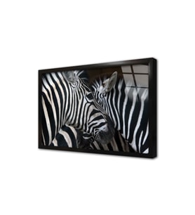 Yakın Çekim Zebra Çerçeveli Cam Tablo