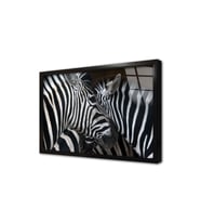 Yakın Çekim Zebra Çerçeveli Cam Tablo