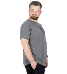 Mode XL Büyük Beden T-Shirt Bisiklet Yaka Striped 22173 Antramelanj