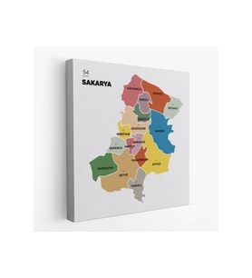 Sakarya İli ve İlçeler Haritası  Dekoratif Kanvas Tablo 1443