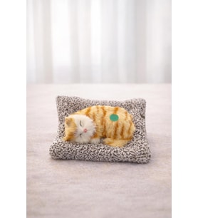 Peluş Minder Üzerinde Uyuyan ve Miyavlayan Kedi