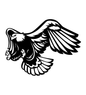 Kartal Sticker17x17 Cm Siyah