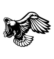 Kartal Sticker17x17 Cm Siyah