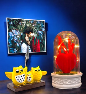 Kişiye Özel Fotoğraflı Set  Led Işıklı Fanus ve Baykuş Tasarımlı Fotoğraf Tutucu  Özel Set (Model 6)