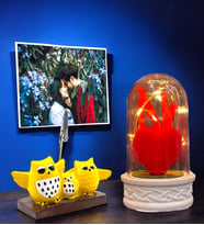 Kişiye Özel Fotoğraflı Set  Led Işıklı Fanus ve Baykuş Tasarımlı Fotoğraf Tutucu  Özel Set (Model 6)