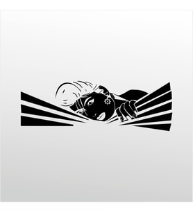 Folyo Sticker Kadın 40cm Uzunluk (Karışık)