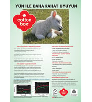 Box Bebek Yün Yastık 35x45