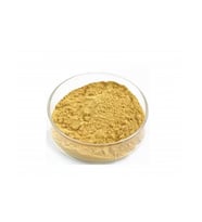 Milk Thistle Extract  250 gr (Hammadde)