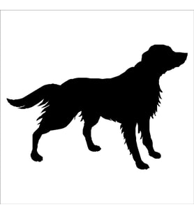 KÖPEK FOLYO STİCKER DERSTV870 40cm Uzunluk (Karışık)