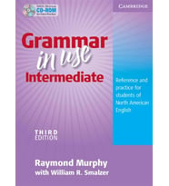 Grammar in Use Intermediate American English with Answers 3rd Ed.