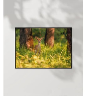 Yeşillikler Arasında Geyik Poster
