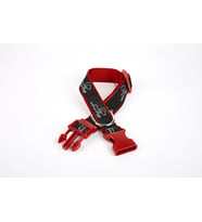 Köpek Desenli Dokuma Köpek Boyun Tasması 3 cm x 36-60 cm Kırmızı