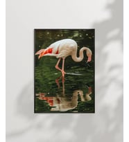 Su Kenarında Flamingo Poster (Çok Renkli)