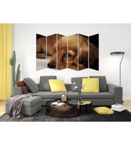 KÖPEK MDF TABLO-2646 MODEL-B