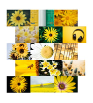 Orora Yellow Temalı Poster Duvar Kağıdı Seti-15li-230g-A5