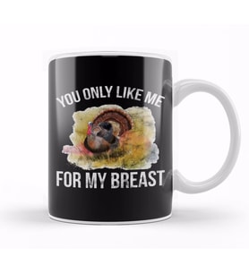 Funny Thanksgiving You Only Like Me For My Breast Kupa Bardak Porselen