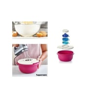 Tupperware Mutfak Incisi Ve Fuşya Miksim Set