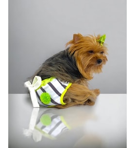 Lime Fuzz Kemique's Secret Köpek İç Çamaşırı Regl Külot Don (Pembe)