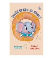 Senin Öfken Ne Renk?