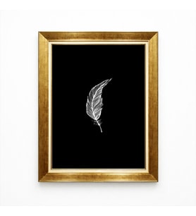 Tablore Siyah Zemin Üzerine Beyaz Kuş Tüyü Minimalist Altın Çerçeveli Tablo