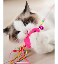 Balıklı Kedi Oyun Oltası 90 Cm (5545)