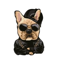 Cool Pug  Motorsiklet Araç Laptop Ve Oto Sticker 19CM