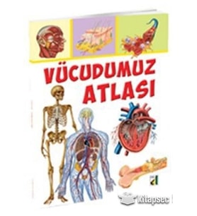 VÜCUDUMUZ ATLASI - DAMLA YAYINEVİ (Karışık)