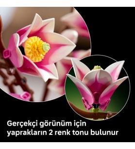 Botanicals Manolya Dalları 11510