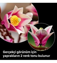 Botanicals Manolya Dalları 11510