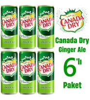 Canada Dry Ginger Ale 330ml 6'lı Paket