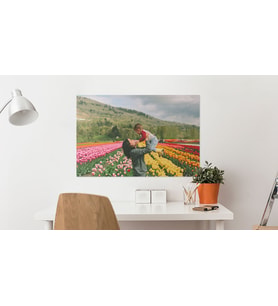 3 adet fotoğraf Baskısı 30x40
