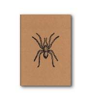 Kraft Defter Düz Örümcek