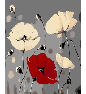 Gri İçindeki Gelincikler Sayılarla Boyama Seti 40x 50 cm (Tuvale Gerili)