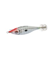 DTD Zebra 1.5 55mm Kalamar Zokası