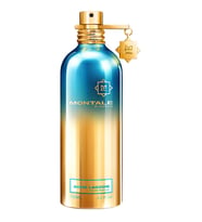 Montale Aoud Lagoon EDP 100 ml Unisex Parfüm