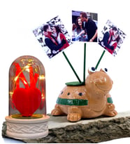 Sizlere Özel Hediye Seti 3 Fotoğraflı Sevimli Kaplumbağa ve Led Işıklı Fanus (Model 1)