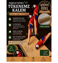 Kalemhane Kişiye Özel El Oyma İşçilik Özel Yapım Tükenmez Kalem Papağan Figürlü
